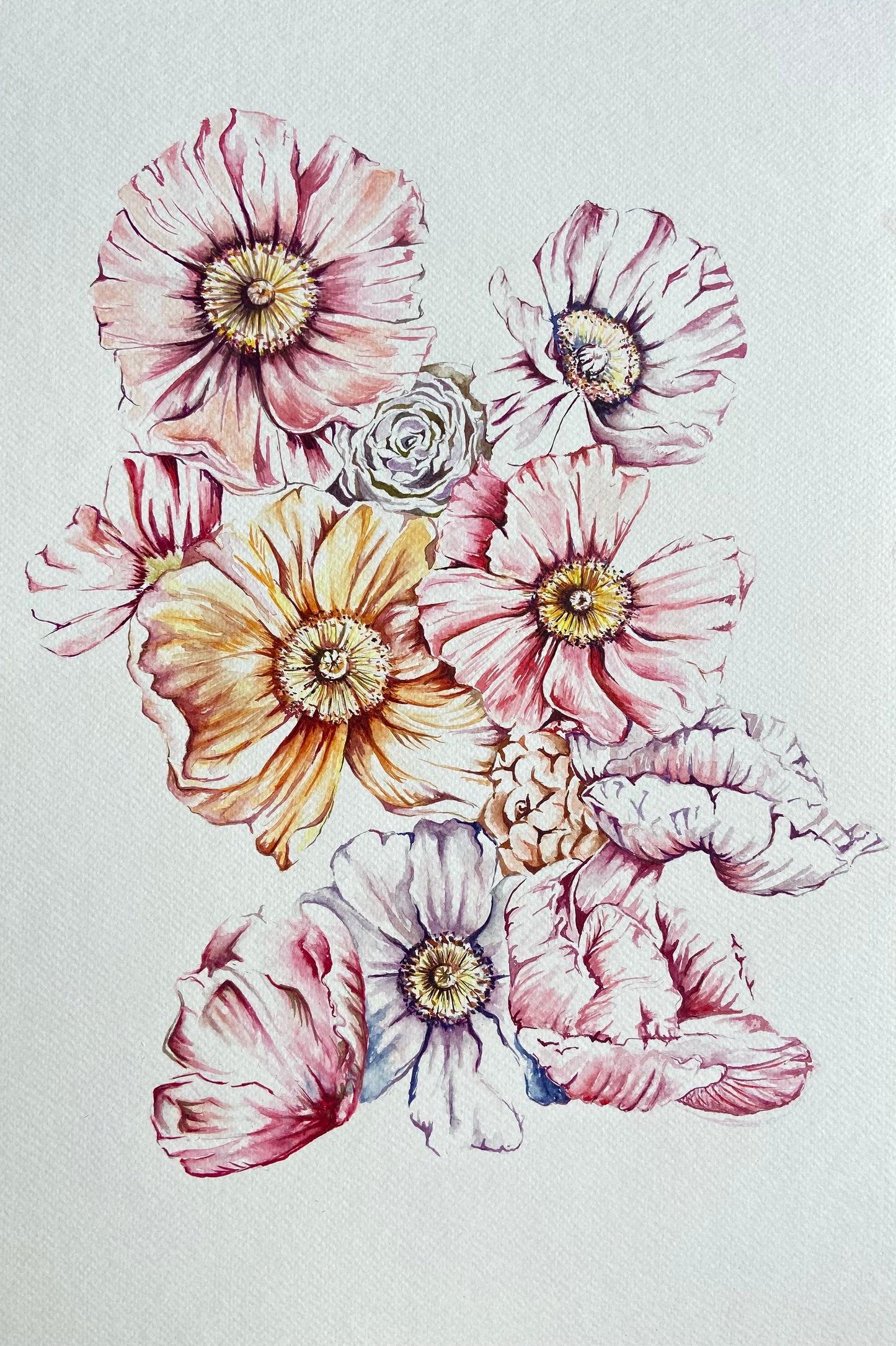 Poppies with Hidden Ranunculus