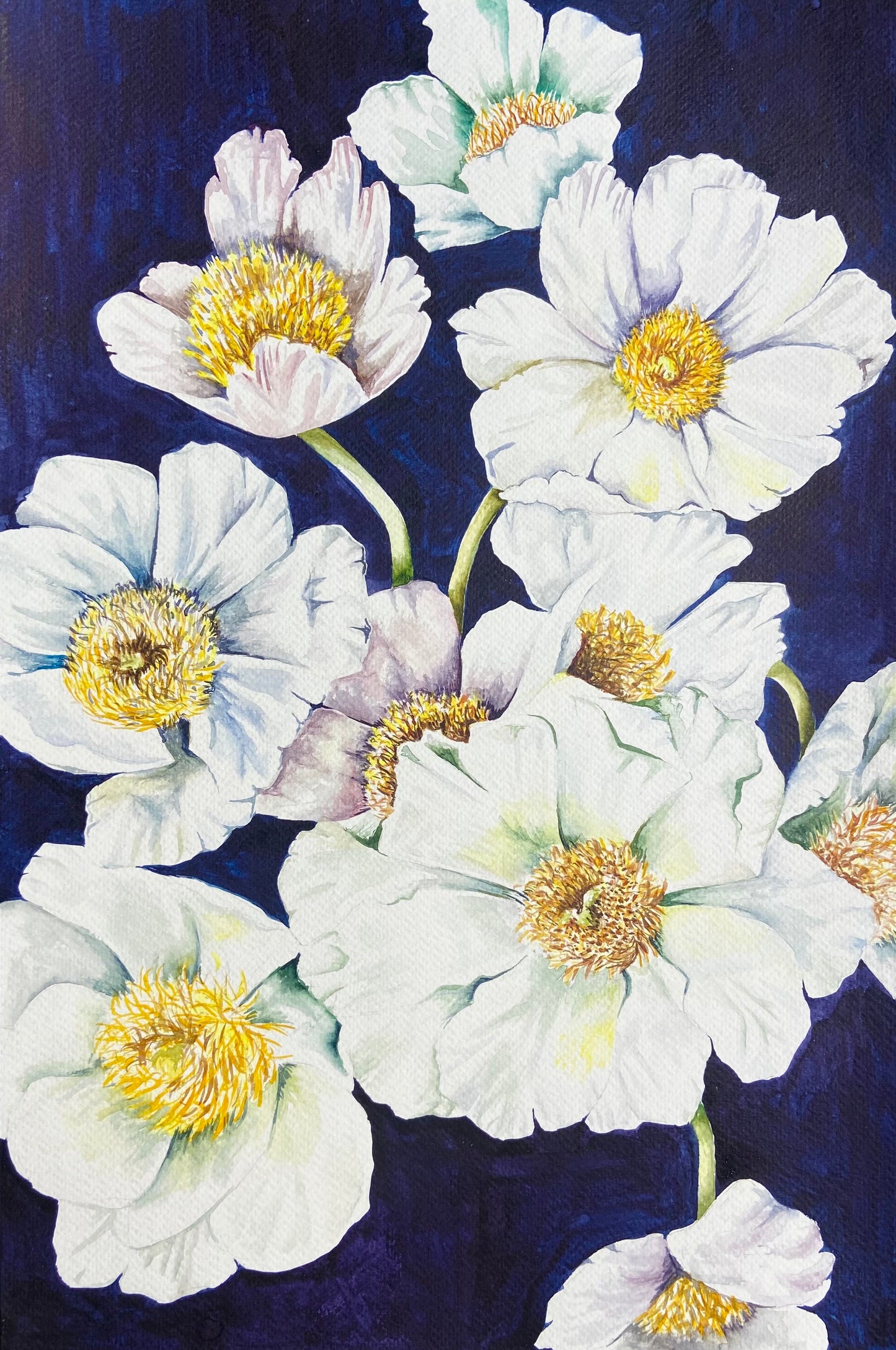 White Peonies II