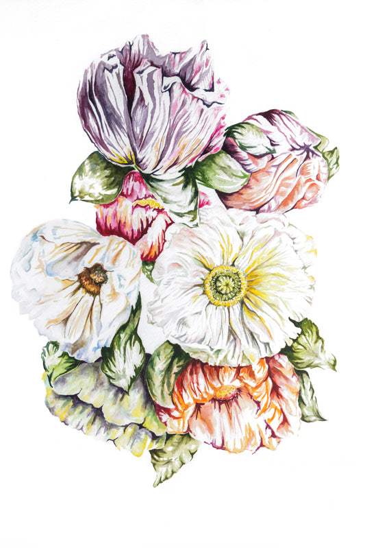 Colorful Poppies