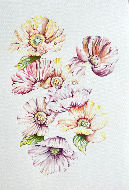 Warm Poppies